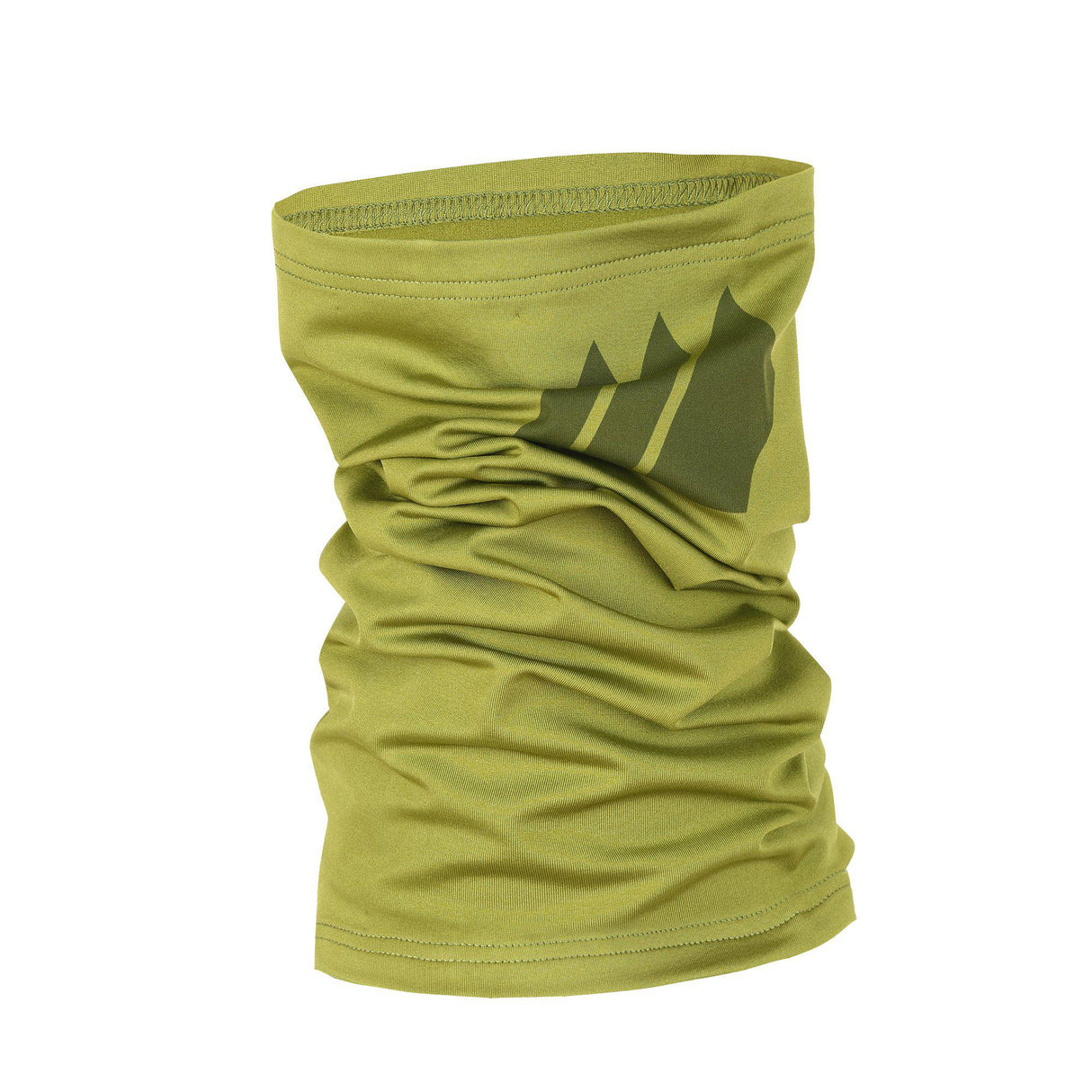 Skogstad_022783_Skjolden_360