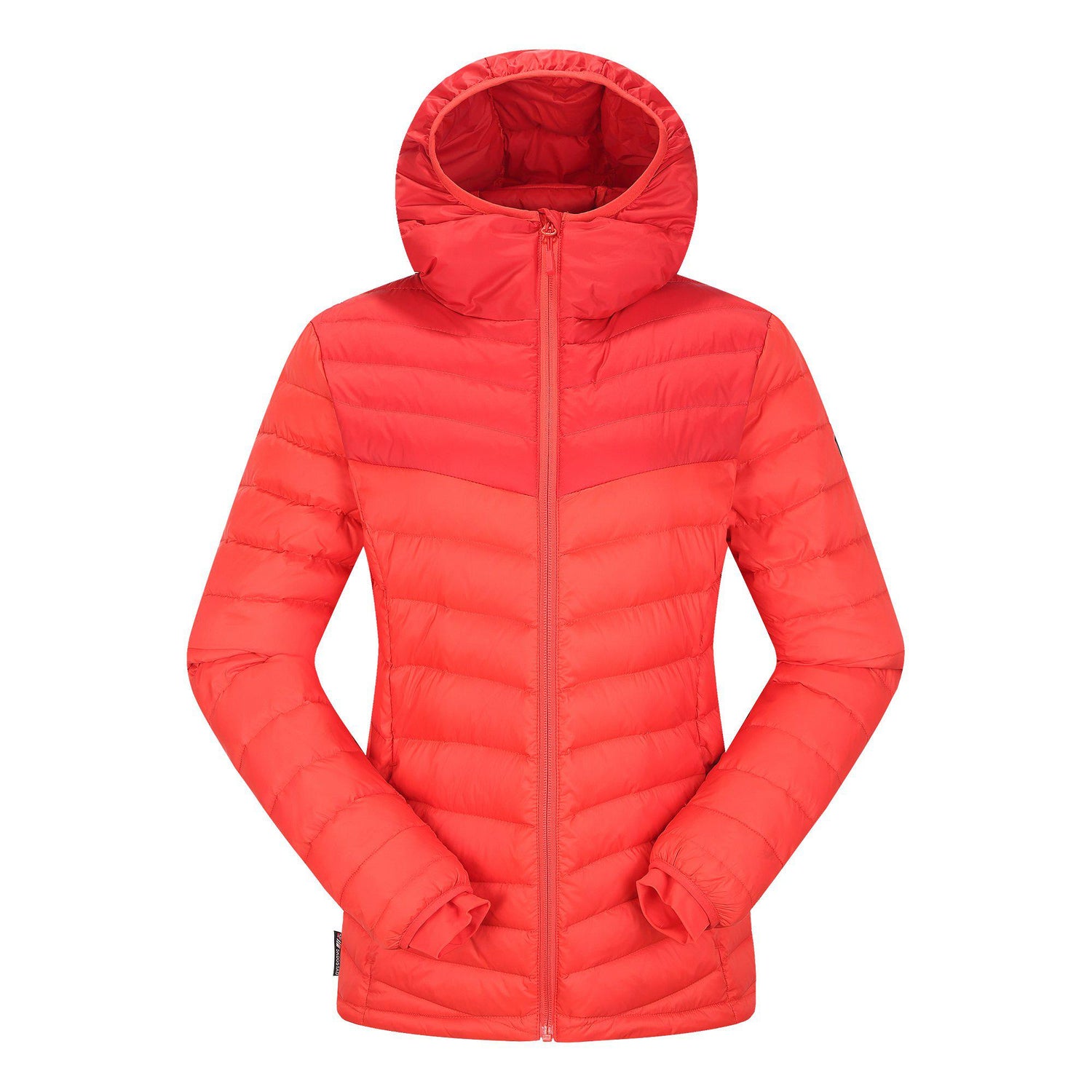 Skogstad_233108_Sølvøyna_632