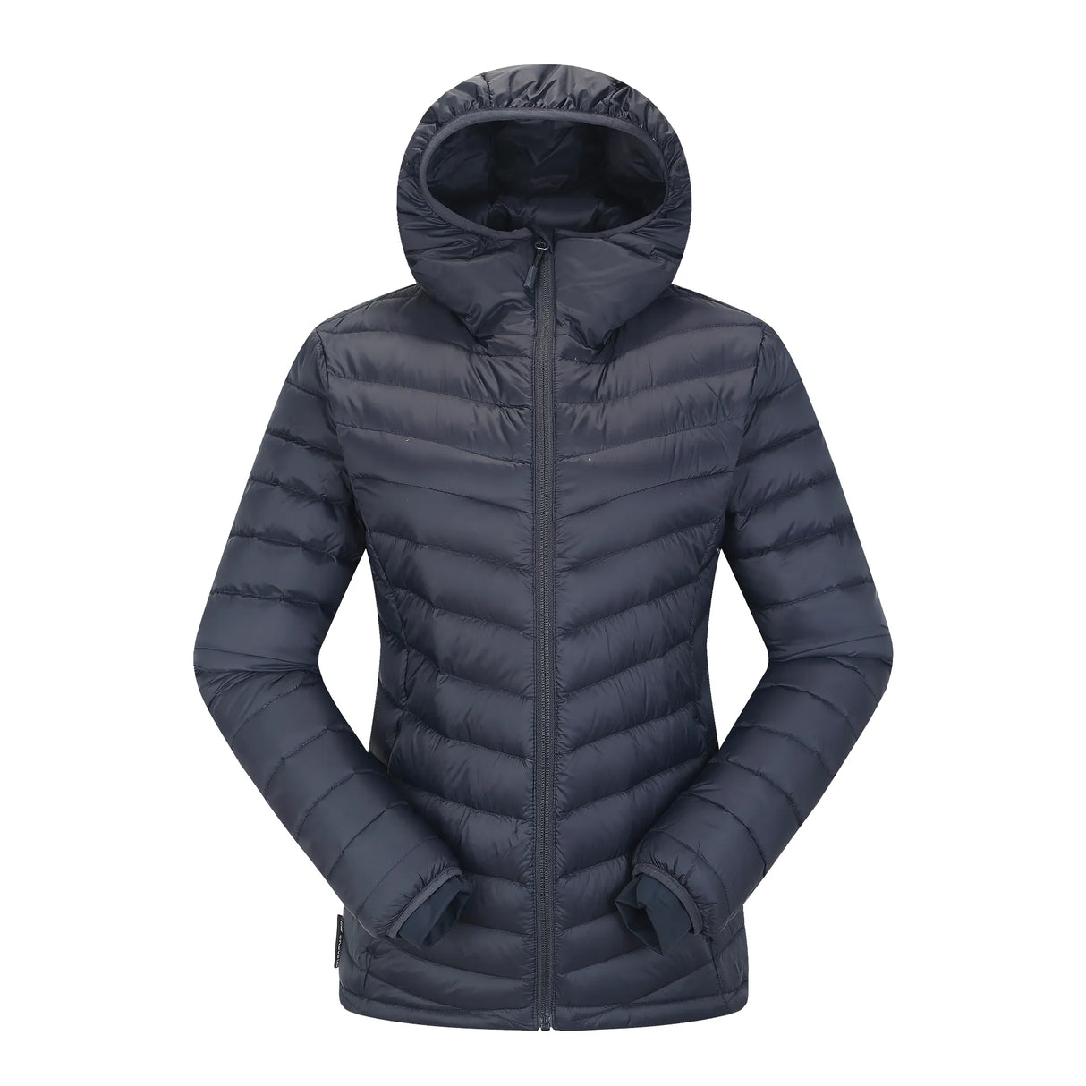 Skogstad_233108_Sølvøyna_448