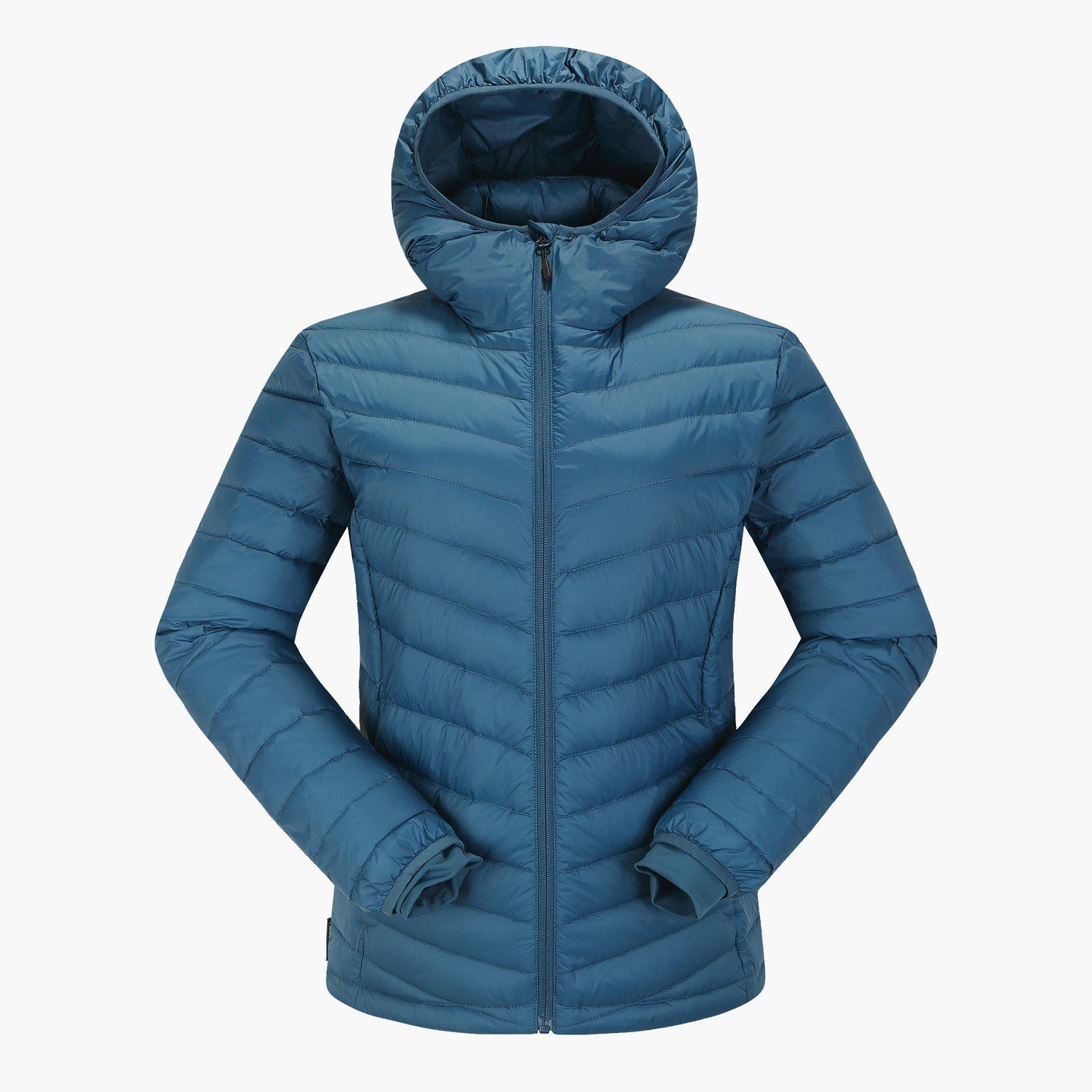 Skogstad_022383_Sølvøyna_480