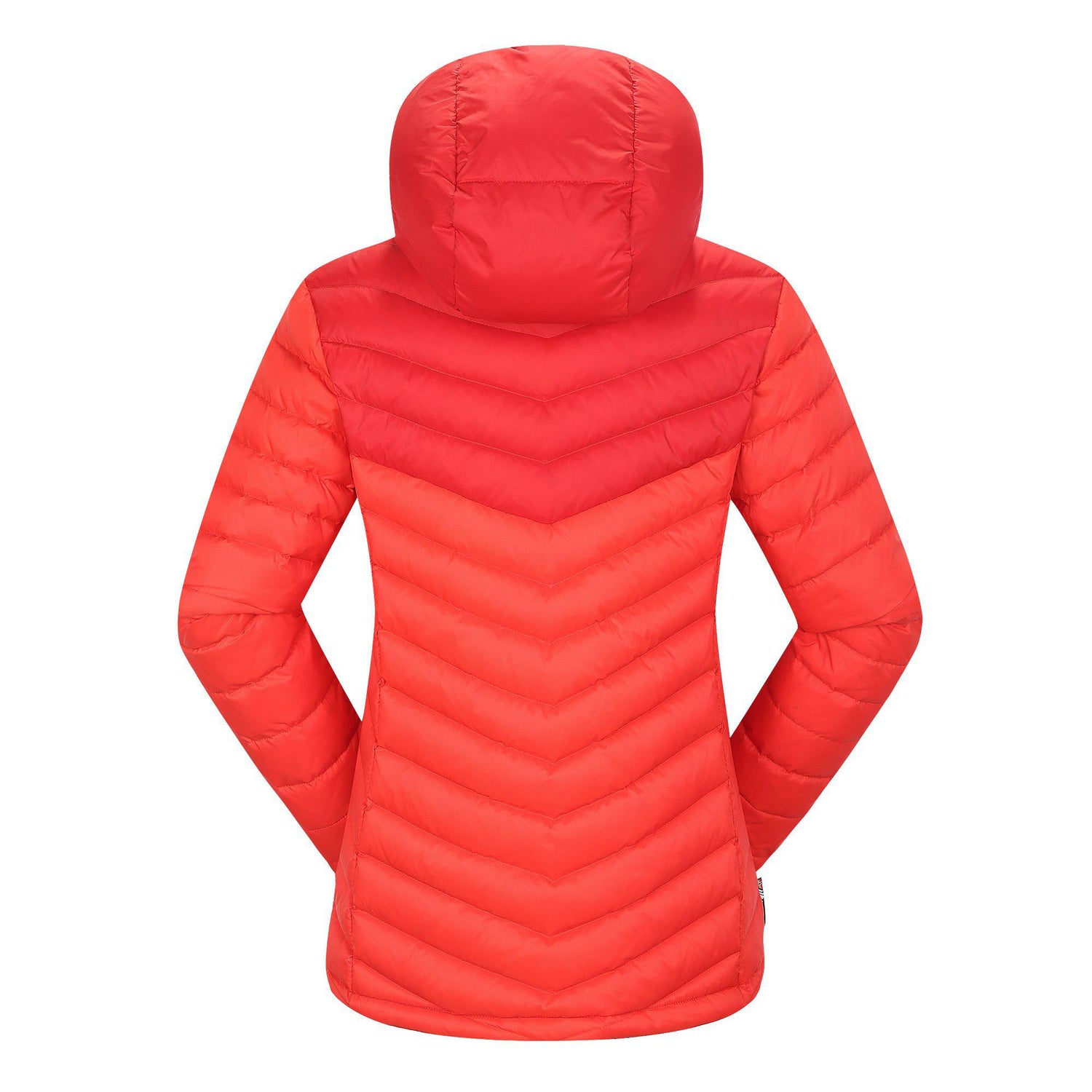 Skogstad_233108_Sølvøyna_632_2